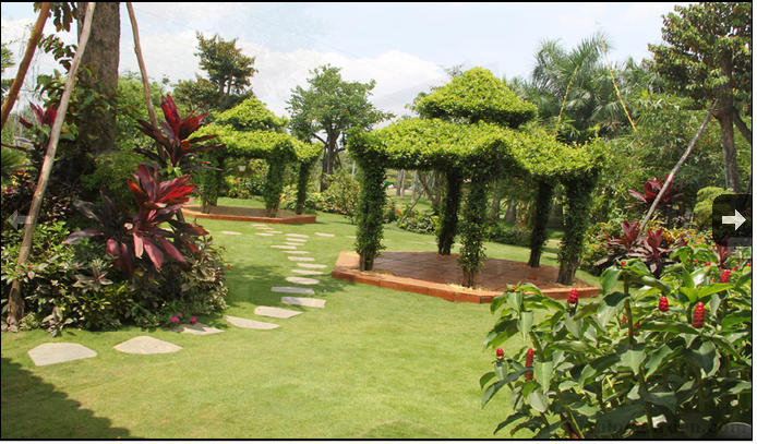 DỰ ÁN ĐẤT - NHÀ VƯỜN VĨNH LỘC